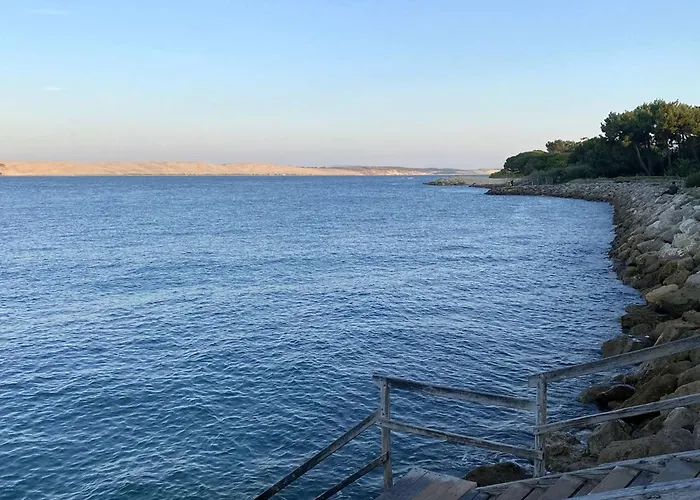 Familiale Au Cap Ferret: Face Aux Dunes, Proche Plage, Grand Jardin Et Terrasse, 10 Pers - Fr-1-736-8 *