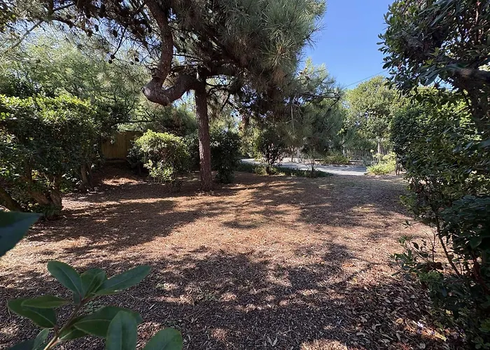 Familiale Au Cap Ferret: Face Aux Dunes, Proche Plage, Grand Jardin Et Terrasse, 10 Pers - Fr-1-736-8 Vila *