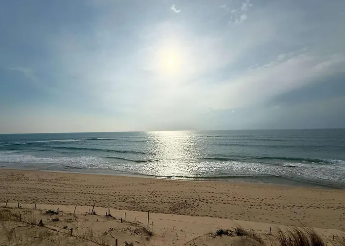 Familiale Au Cap Ferret: Face Aux Dunes, Proche Plage, Grand Jardin Et Terrasse, 10 Pers - Fr-1-736-8 * Lège-Cap-Ferret