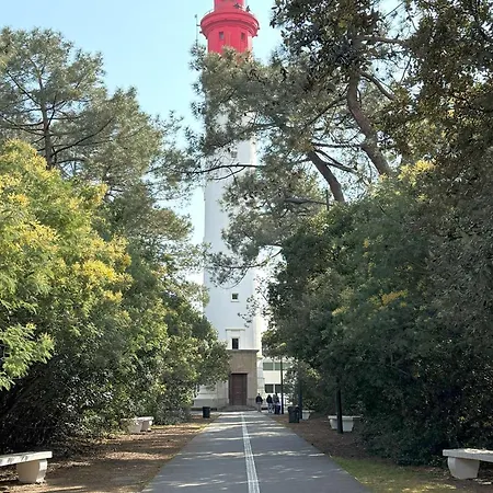 Familiale Au Cap Ferret: Face Aux Dunes, Proche Plage, Grand Jardin Et Terrasse, 10 Pers - Fr-1-736-8 *